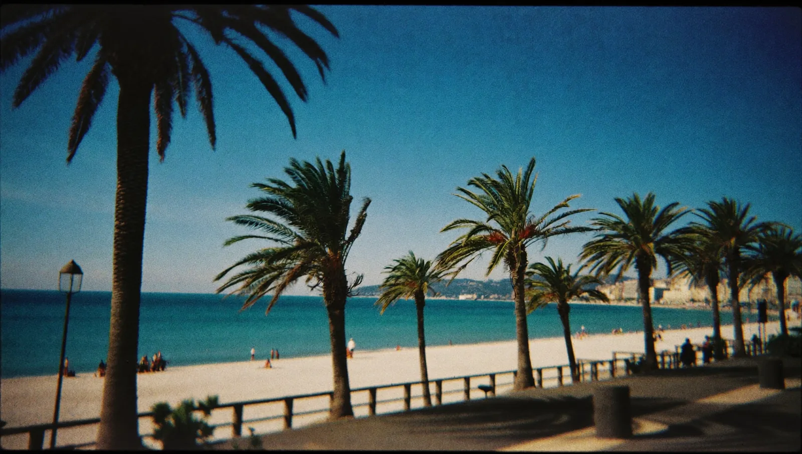 La Méditerranée en plein midi : mer bleue, plage de galets et palmiers de la Promenade
