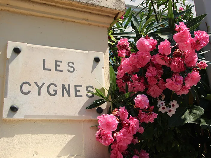 Plaque « Les Cygnes » à l'entrée de l'hôtel, entourée de fleurs roses